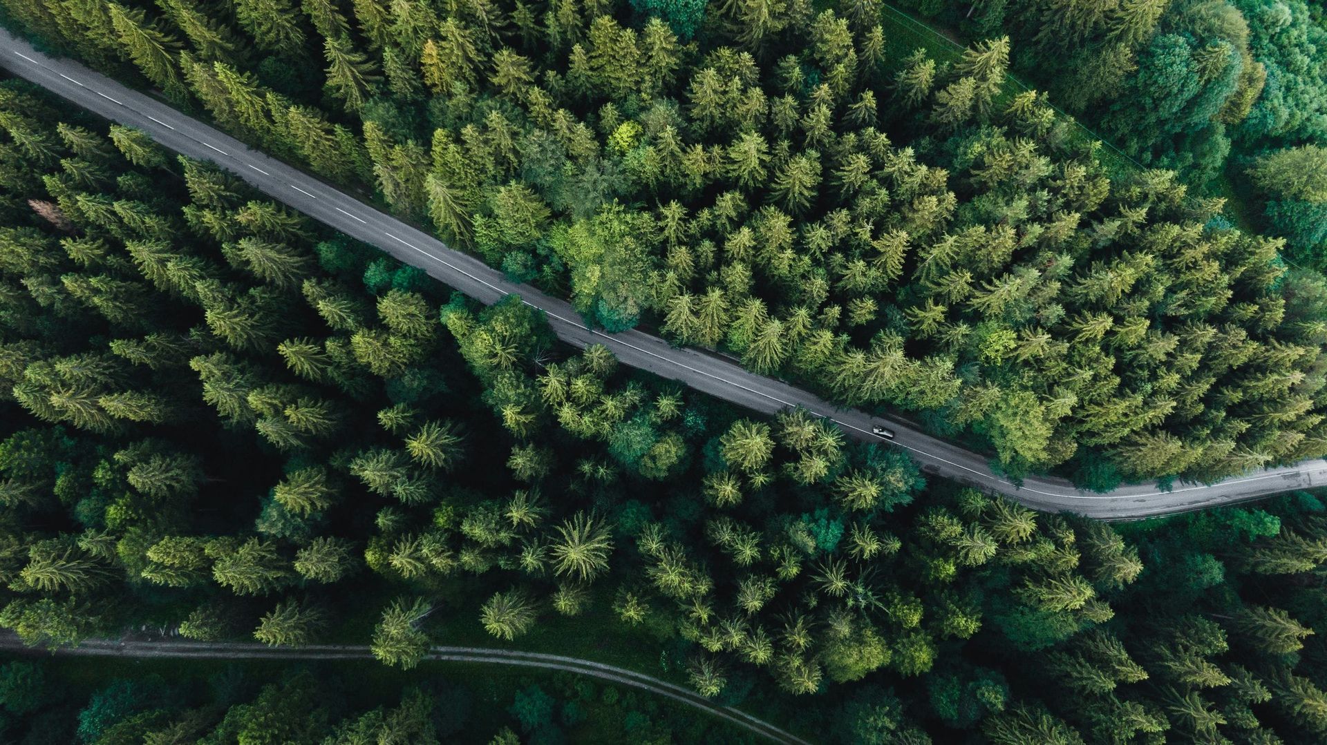 Banner background